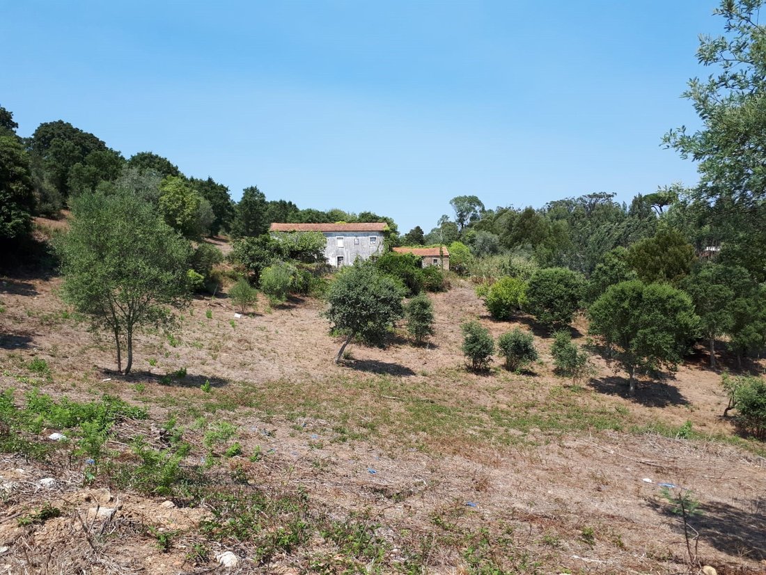 Terreno en Sintra, Distrito de Lisboa, Portugal 3 - 18737853