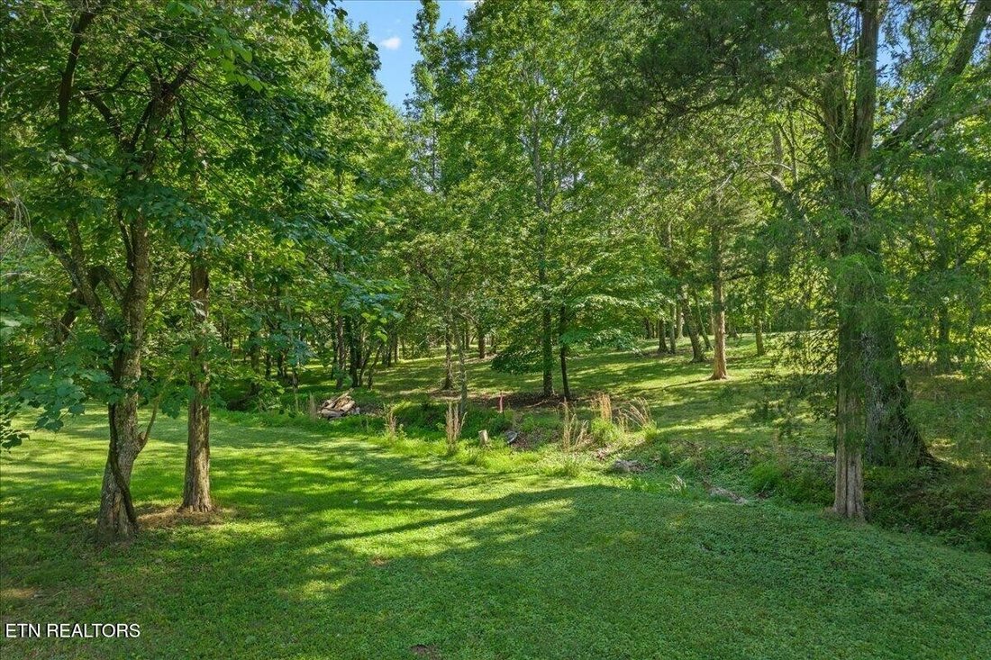 Land in Rockwood, Tennessee, Vereinigte Staaten 4 - 18731723