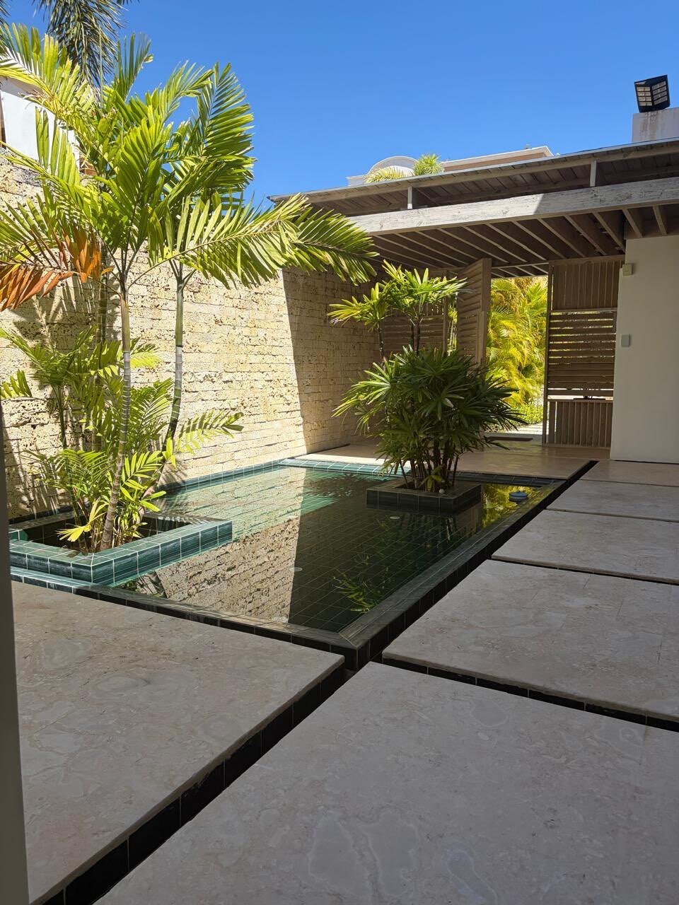 House in Cap Cana, Dominican Republic 5 - 18736848