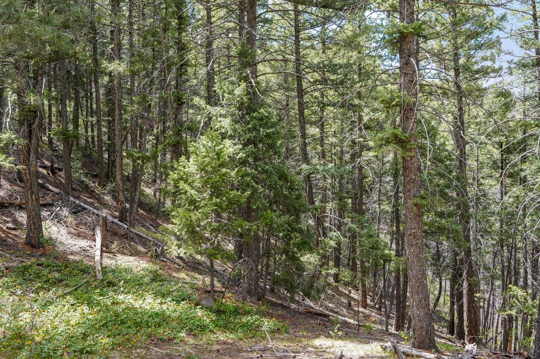 Casa en Palmer Lake, Colorado, Estados Unidos 5 - 18733009