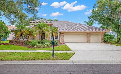 Maison à Oldsmar, Floride, États-Unis 1