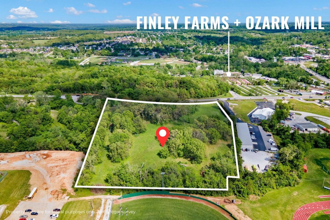 Land in Ozark, Missouri, United States 3 - 18735314