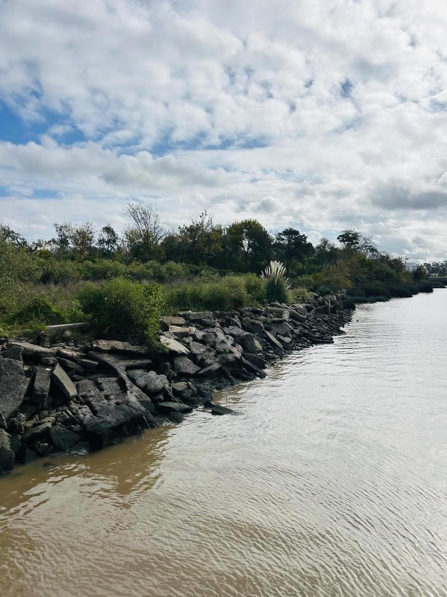 Land in Rincón de Milberg, Buenos Aires Province, Argentina 1 - 18734325