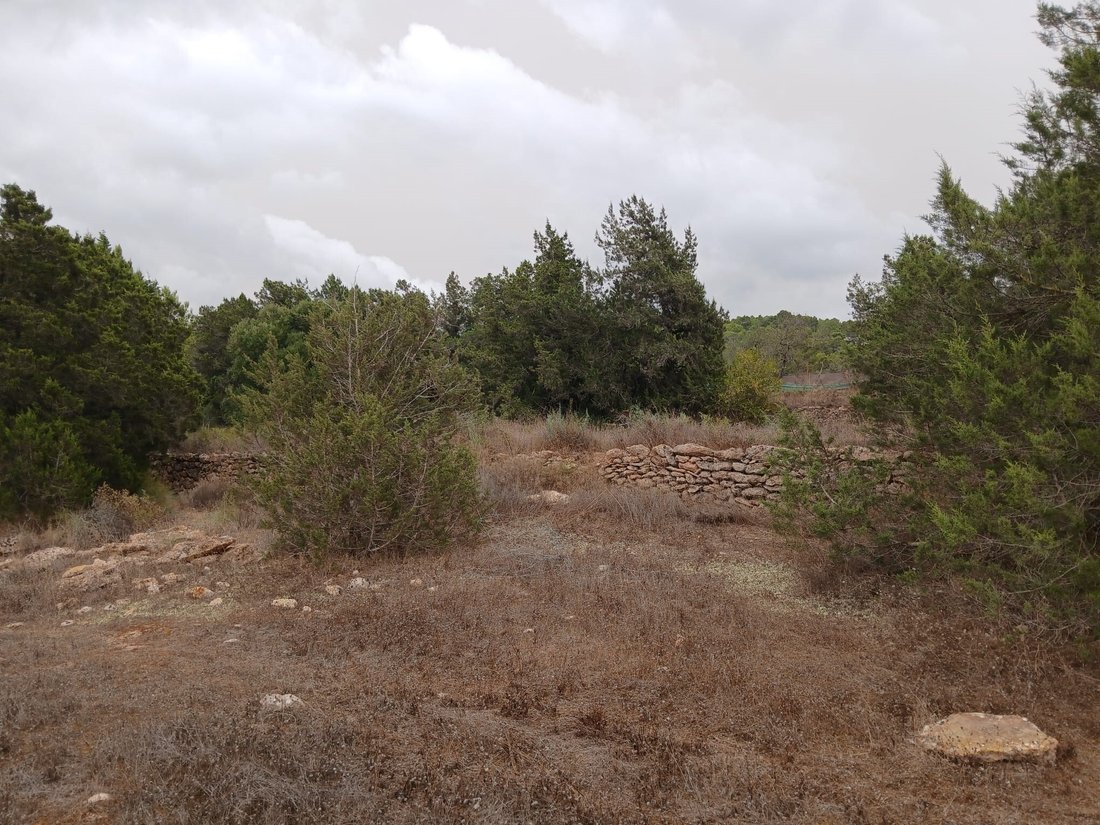 Terreno a Sant Josep de sa Talaia, Isole Baleari, Spagna 5 - 18737358