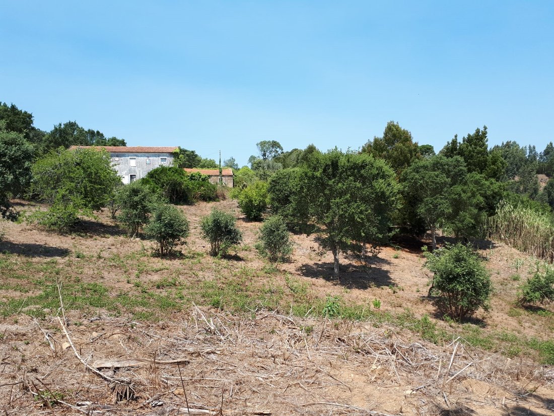 Terreno en Sintra, Distrito de Lisboa, Portugal 1 - 18737853