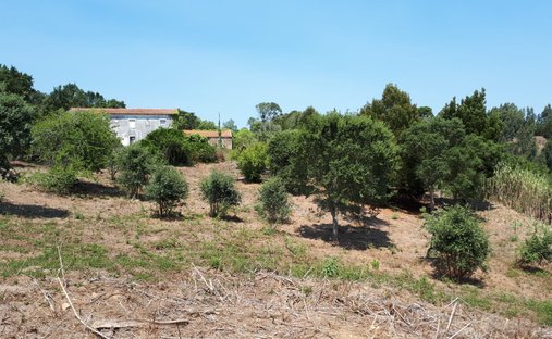 Terrain à Sintra, Lisbonne, Portugal 1