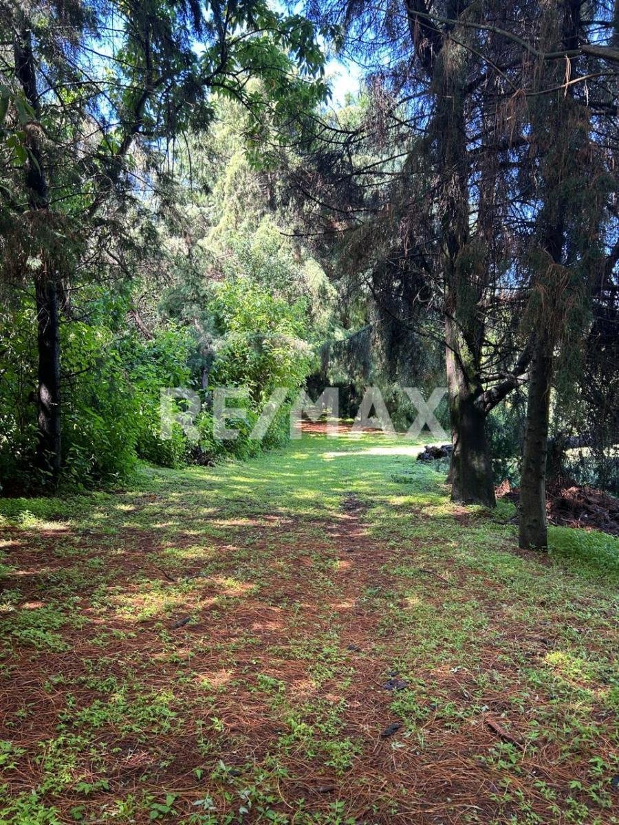 Maison à Nepantla de Sor Juana Inés de la Cruz, État de Mexico, Mexique 4 - 18736671