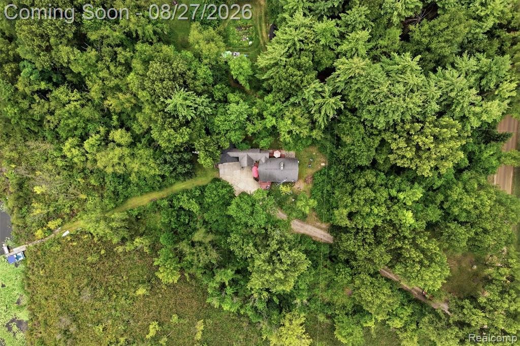 Casa a Argentine Township, Michigan, Stati Uniti 5 - 18738499