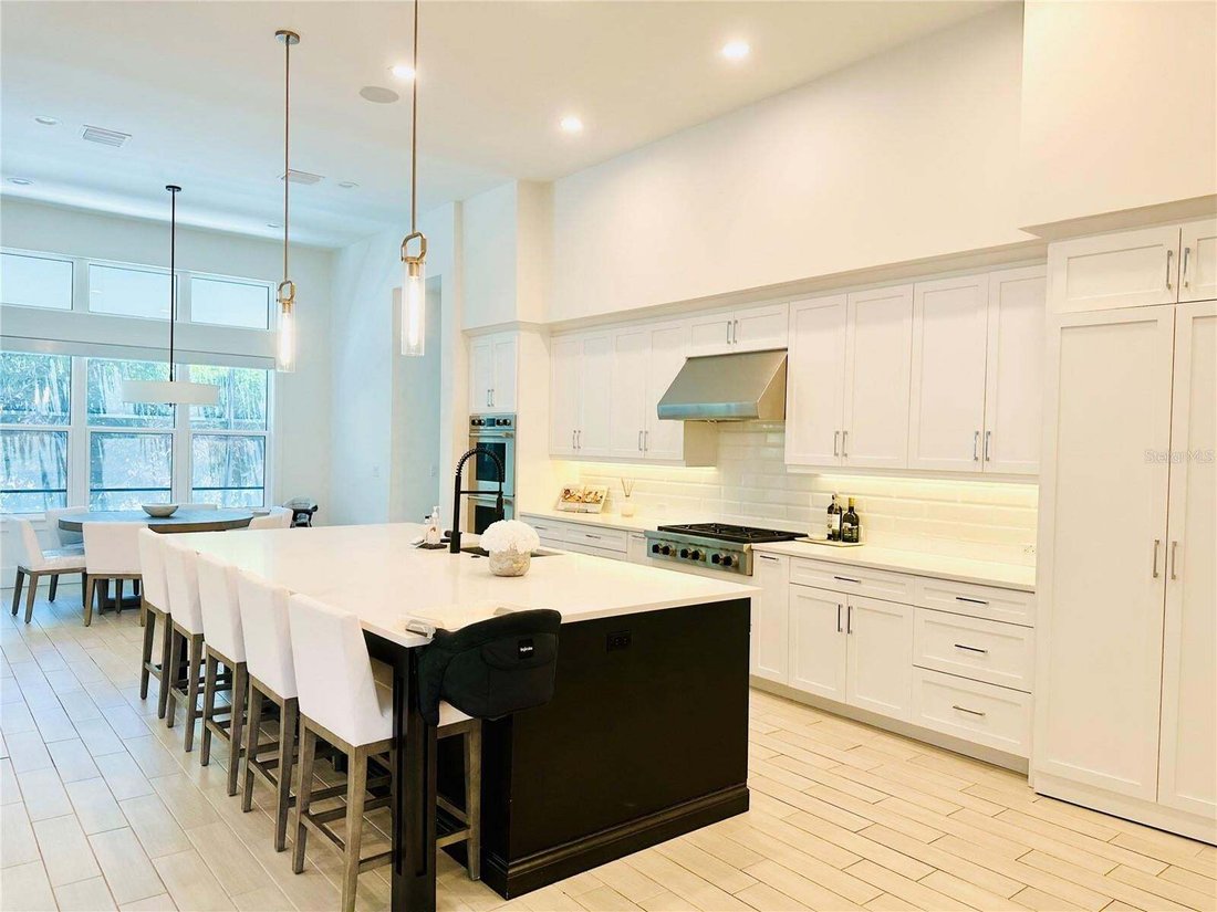 House in Tampa, Florida, United States 5 - 18738629