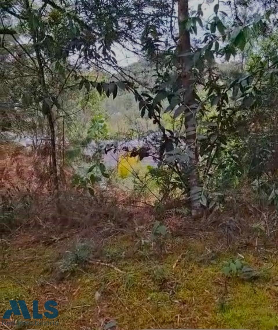 Land in Envigado, Departamento de Antioquia, Kolumbien 5 - 18738942