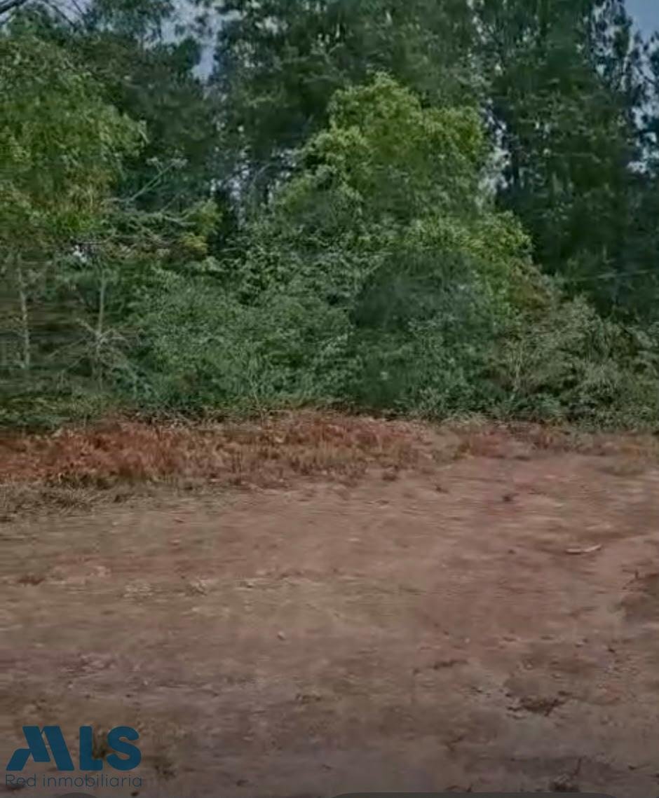 Land in Envigado, Departamento de Antioquia, Kolumbien 2 - 18738942