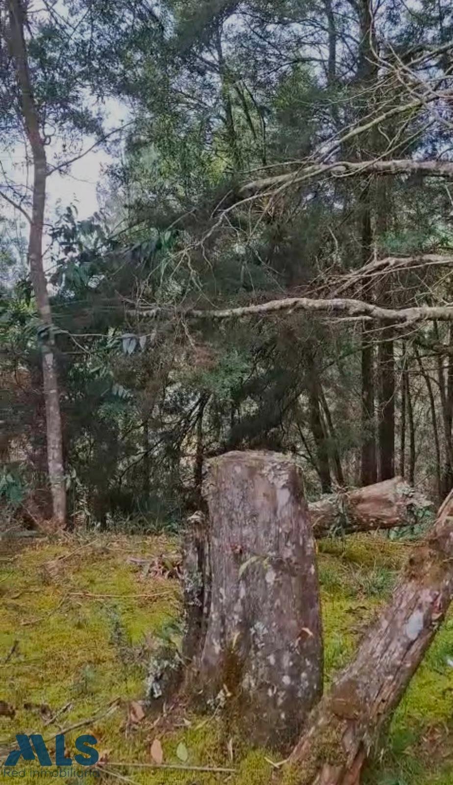 Land in Envigado, Departamento de Antioquia, Kolumbien 4 - 18738942