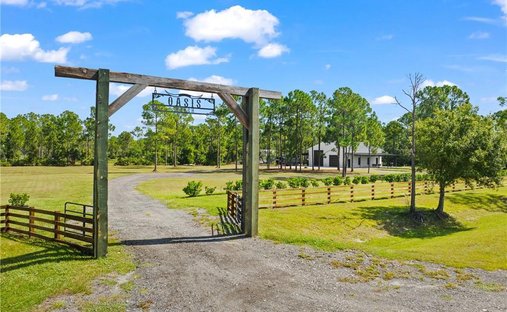 Land in Estero, Florida, United States 1
