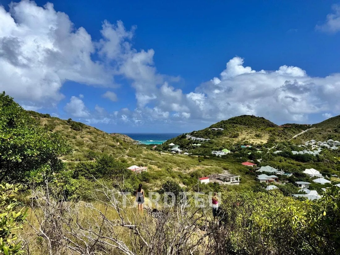 Terreno en Toiny, San Bartolomé 4 - 18739594