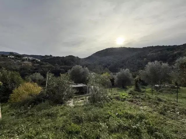 Haus in Peillon, Provence-Alpes-Côte d'Azur, Frankreich 5 - 15730195