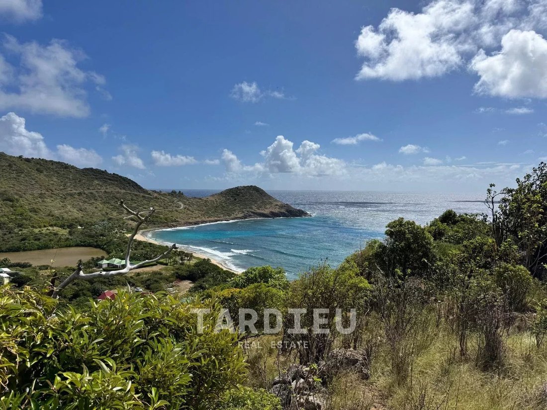 Terreno en Toiny, San Bartolomé 1 - 18739594