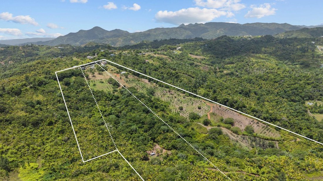 Casa en Utuado, Utuado, Puerto Rico 3 - 18739835