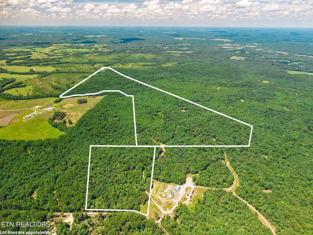 Land in Deer Lodge, Tennessee, Vereinigte Staaten 5 - 18739844