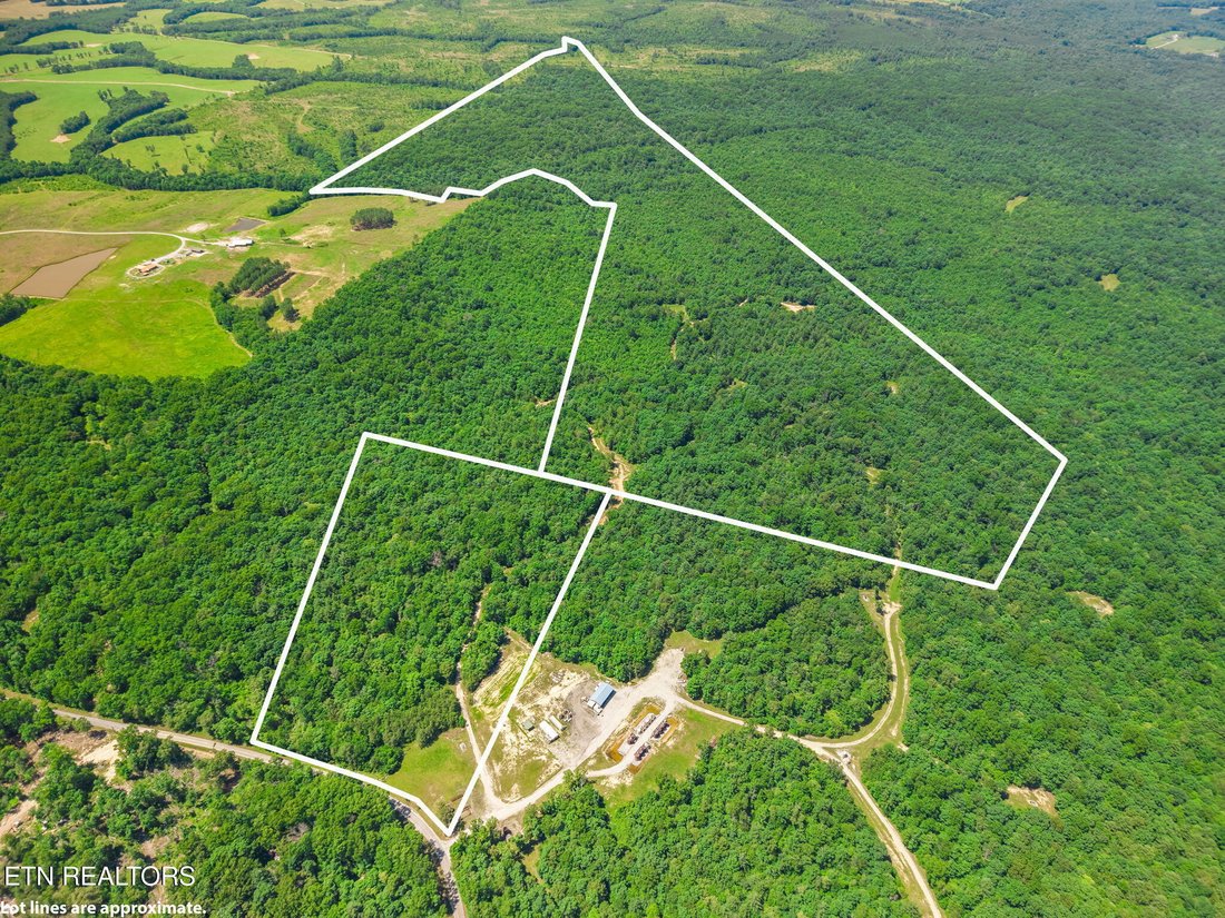 Land in Deer Lodge, Tennessee, Vereinigte Staaten 2 - 18739844