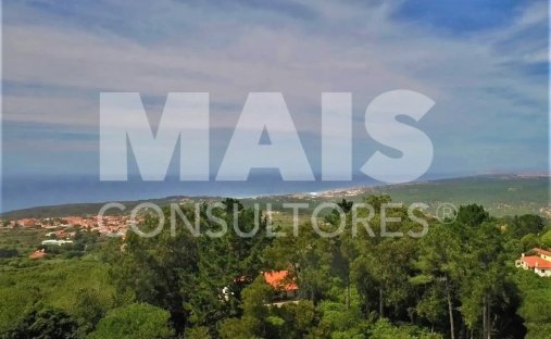 Terreno a Sintra, Lisbona, Portogallo 1