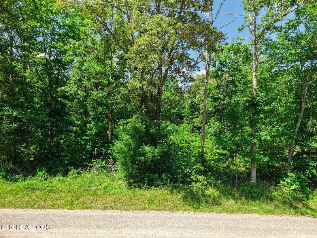 Land in Deer Lodge, Tennessee, Vereinigte Staaten 4 - 18739844