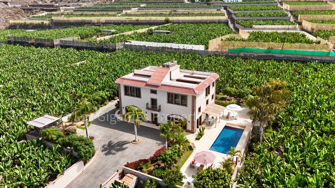 Finca à Guia de Isora, Îles Canaries, Espagne 1 - 18739871