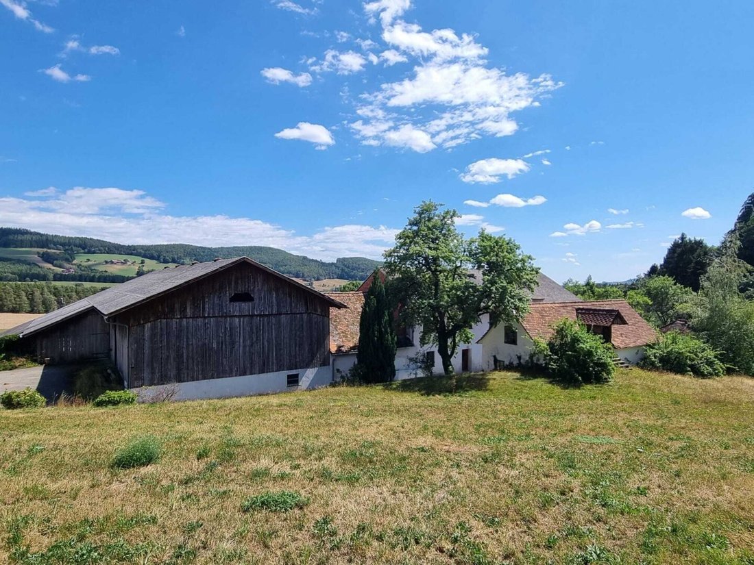 Andere in Pöllau bei Hartberg, Steiermark, Österreich 3 - 18739918