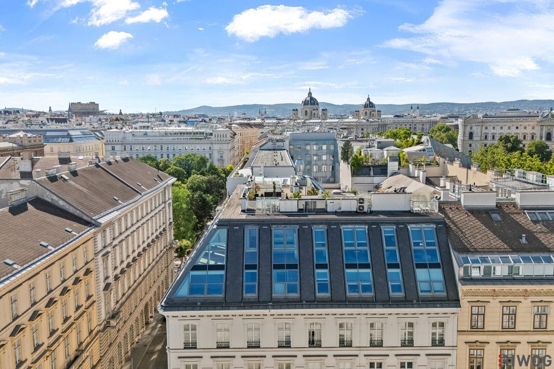 Penthouse in Wien, Wien, Österreich 2 - 18739914