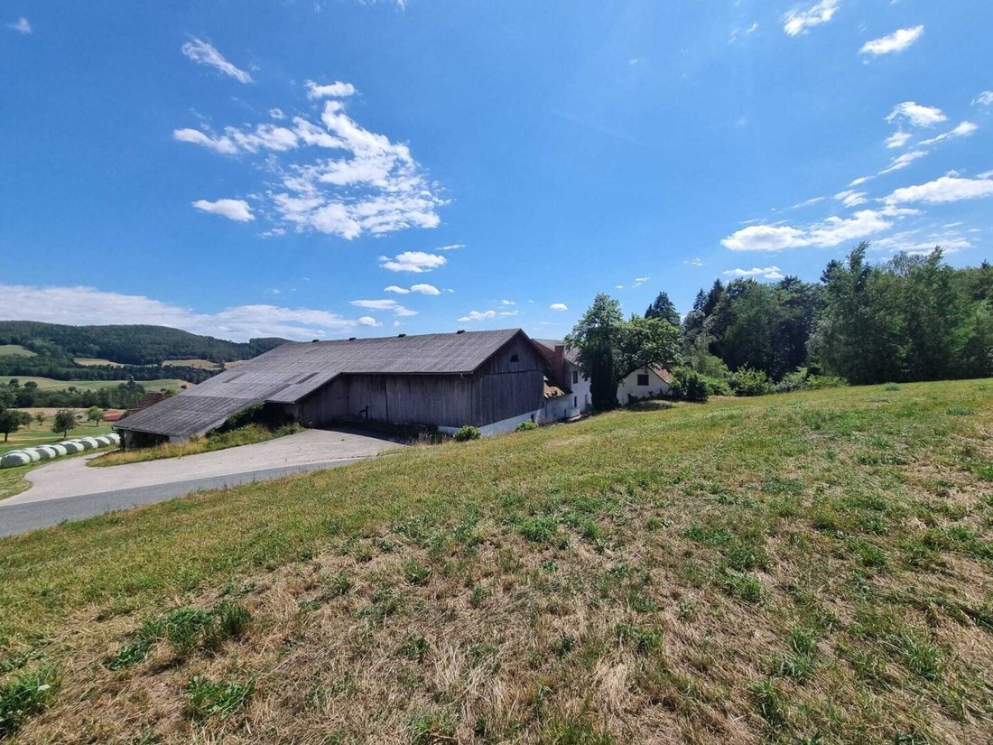 Andere in Pöllau bei Hartberg, Steiermark, Österreich 4 - 18739918