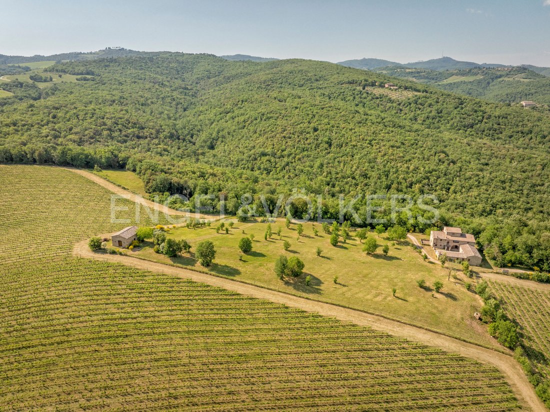 Casa di campagna a Castelnuovo Berardenga, Toscana, Italia 5 - 18740296