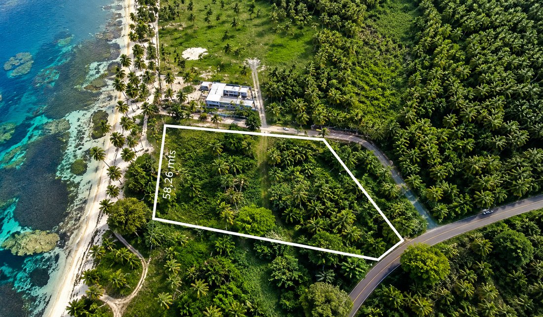 Terreno en Las Terrenas, Samaná, República Dominicana 5 - 18740209