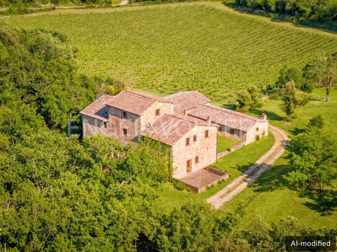 Casa di campagna a Castelnuovo Berardenga, Toscana, Italia 2 - 18740296