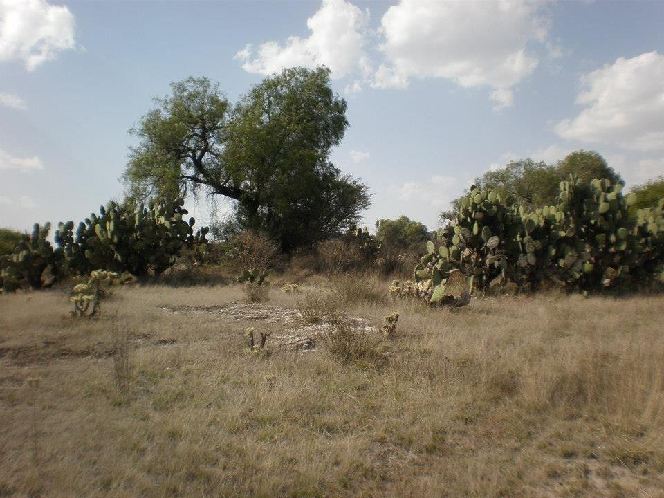 Terreno en San Agustín Actipac, Estado de México, México 1 - 18742462