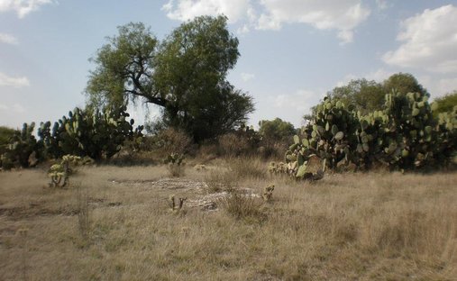 Terreno en San Agustín Actipac, Estado de México, México 1