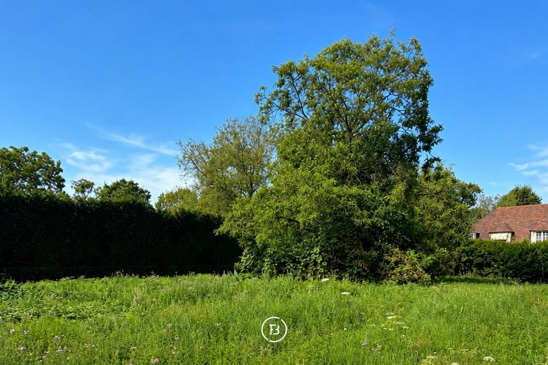 Land in Wemmel, Flanders, Belgium 1 - 18741045