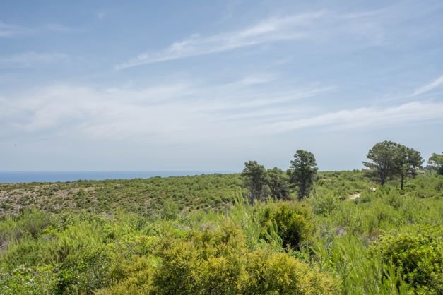 Terreno en Jávea, Comunidad Valenciana, España 1 - 18741631