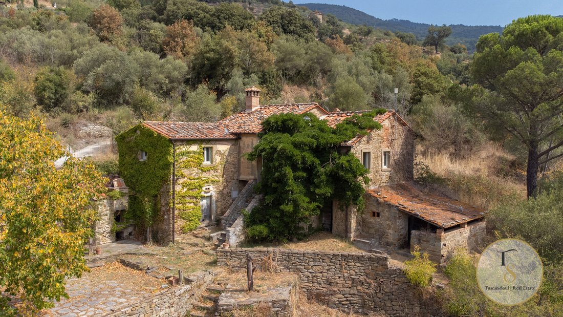 Landhaus in Zentrum, Arezzo, Toskana 1 - 18745163