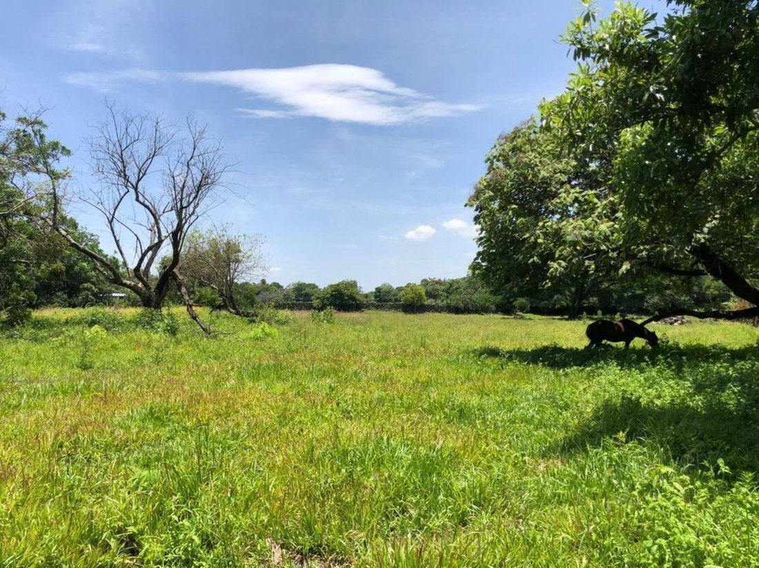 Land in San Andrés de la Cal, Morelos, Mexico 1 - 18742405
