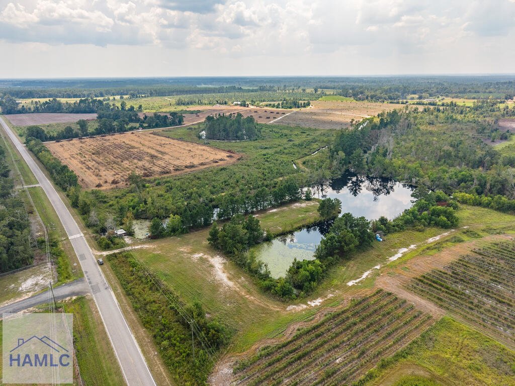 Land in Alma, Georgia, United States 5 - 18663149