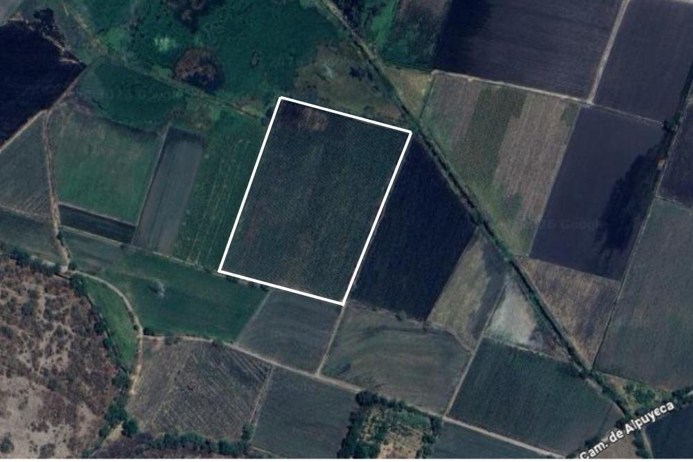 Terreno en Alpuyeca, Morelos, México 1 - 18742363