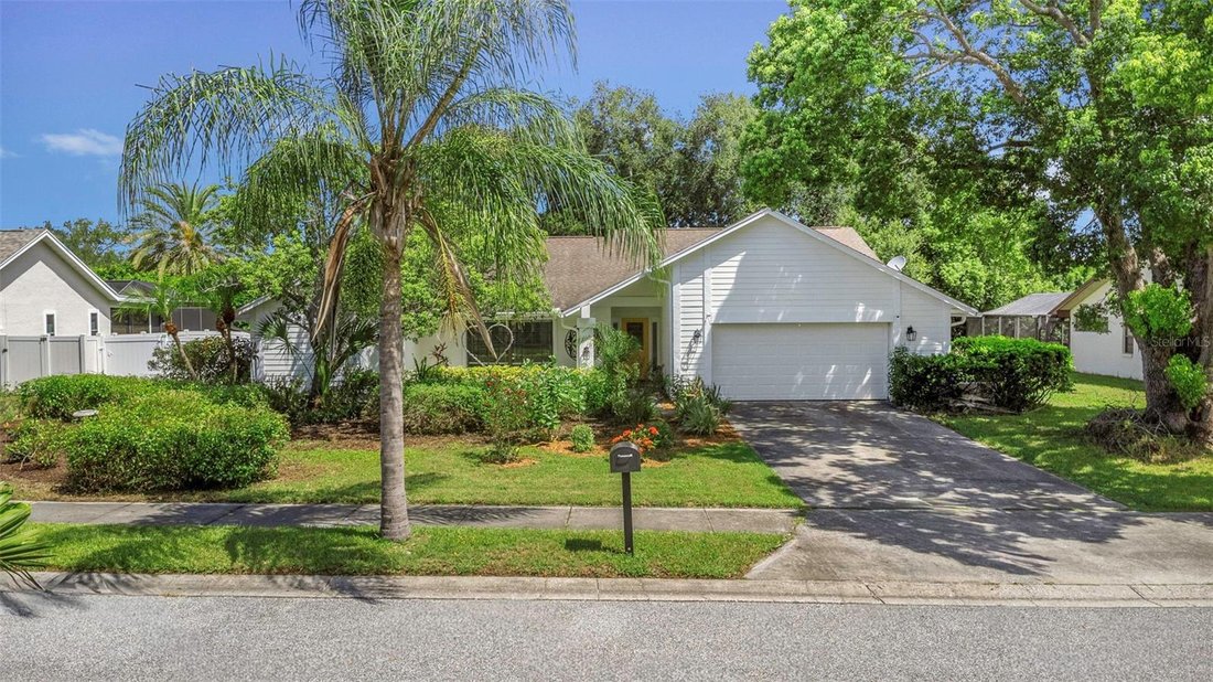 House in Dunedin, Florida, United States 5 - 18743288