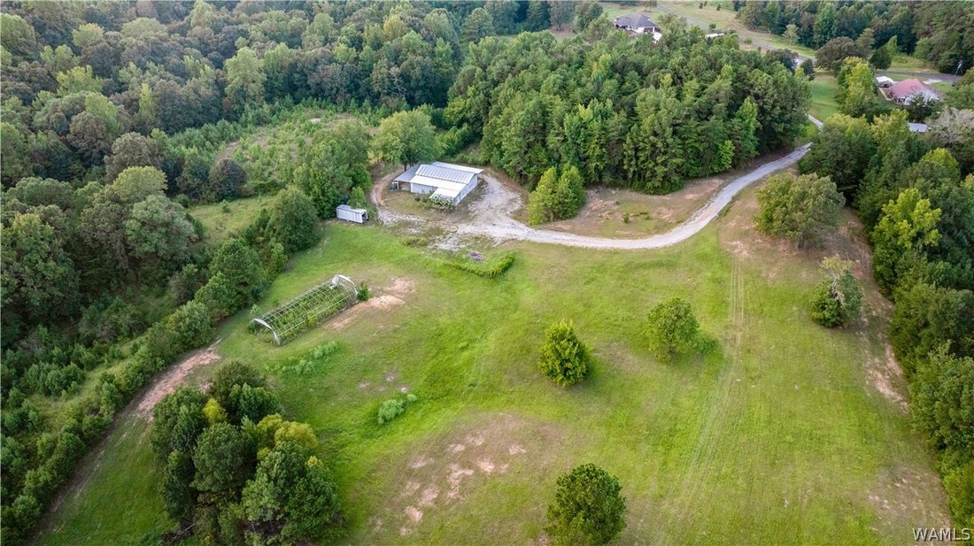 House in Northport, Alabama, United States 5 - 18743890