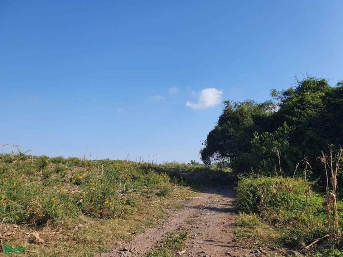 Terreno en El Chanal, Colima, México 3 - 17811085