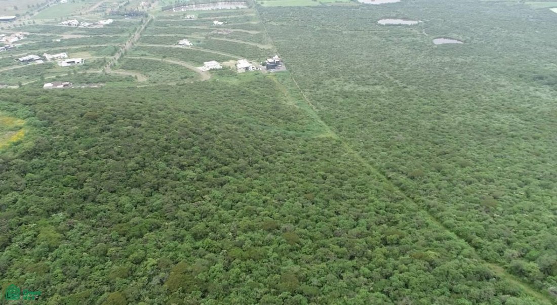 Land in Canoas, Jalisco, Mexiko 2 - 18585145