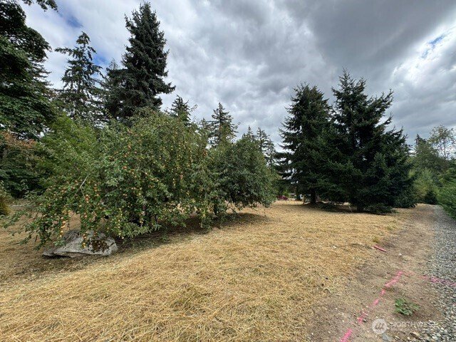 Terreno en Auburn, Washington, Estados Unidos 4 - 18746240