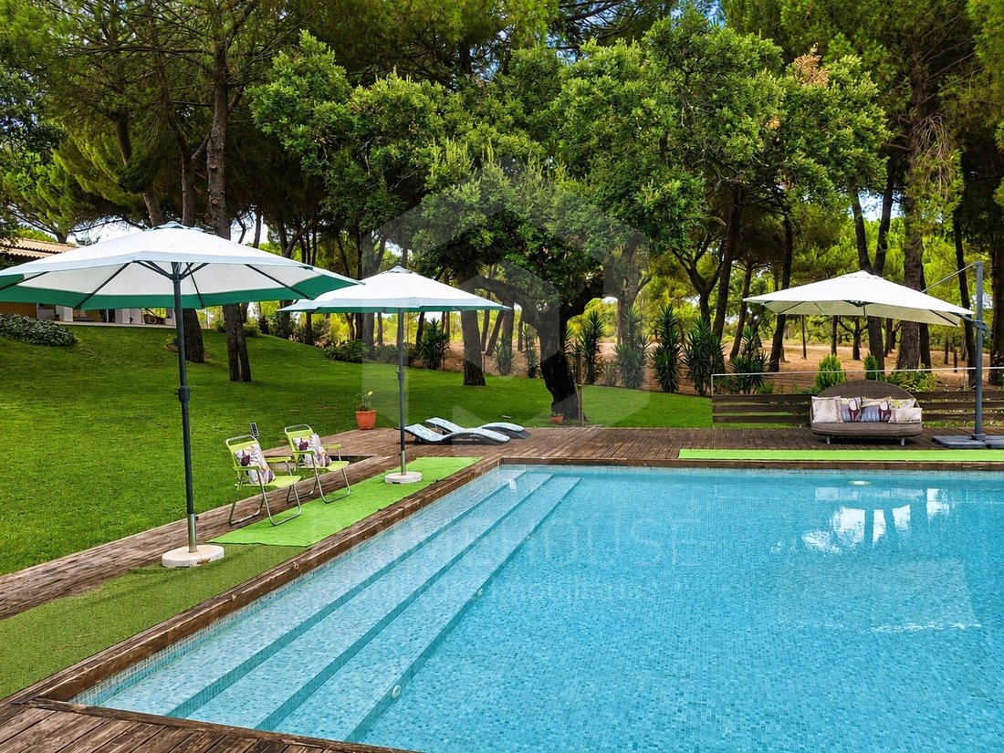 Finca en Grandola y Santa Margarida da Serra, Setúbal Municipality, Portugal 2 - 16569841