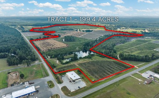Azienda agricola a Alma, Georgia, Stati Uniti 1