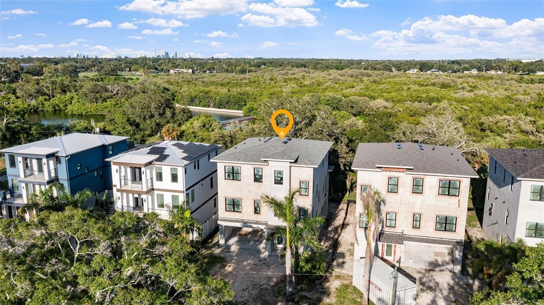 House in St. Petersburg, Florida, United States 3 - 18743807