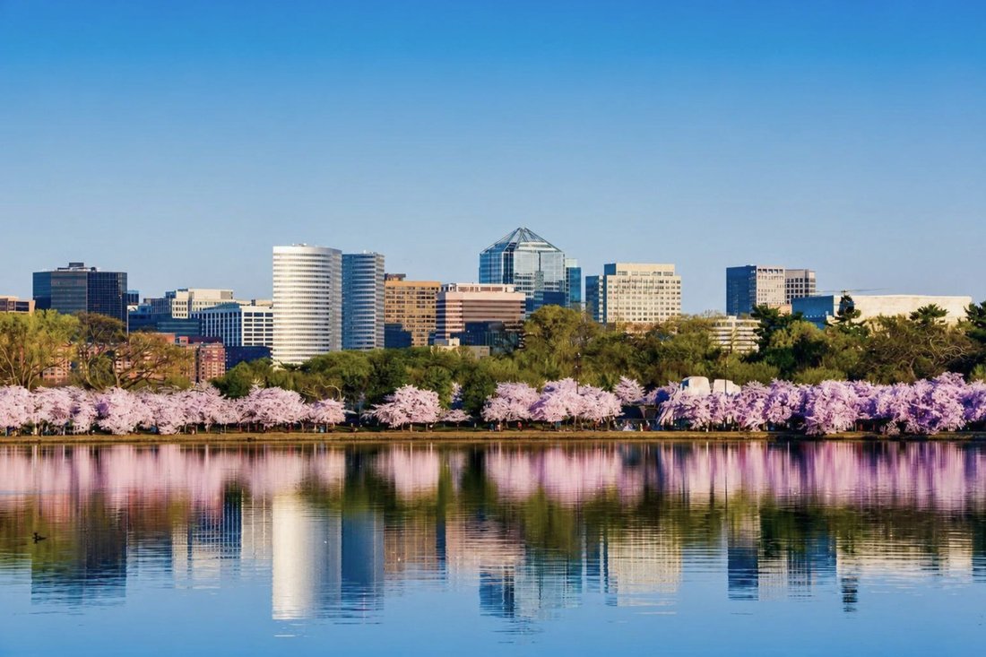 Condo in Arlington, Virginia, United States 5 - 18740187