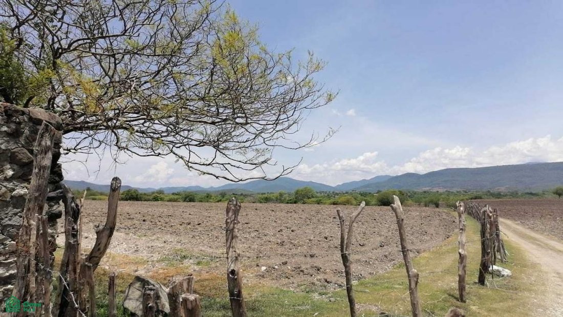 Terreno en Pedro Amaro, Morelos, México 2 - 18584934